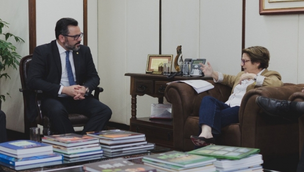 Deputado Alan Rick intercede por indústrias acreanas em videoconferência com ministra Tereza Cristina 